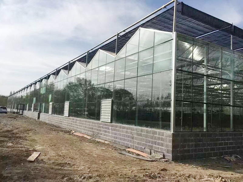 普洱市玻璃温室植物工厂 - 哪里好